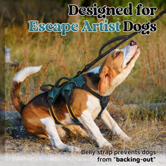 rabbitgoo dog harness padded lift handle shown in close-up.
