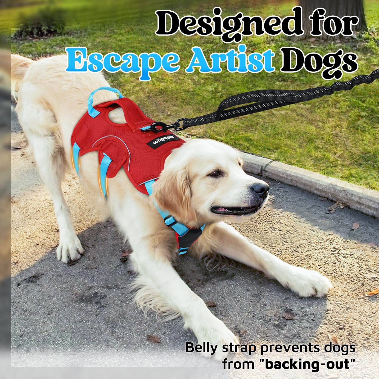 rabbitgoo dog harness close-up showing the padded carrying handle.