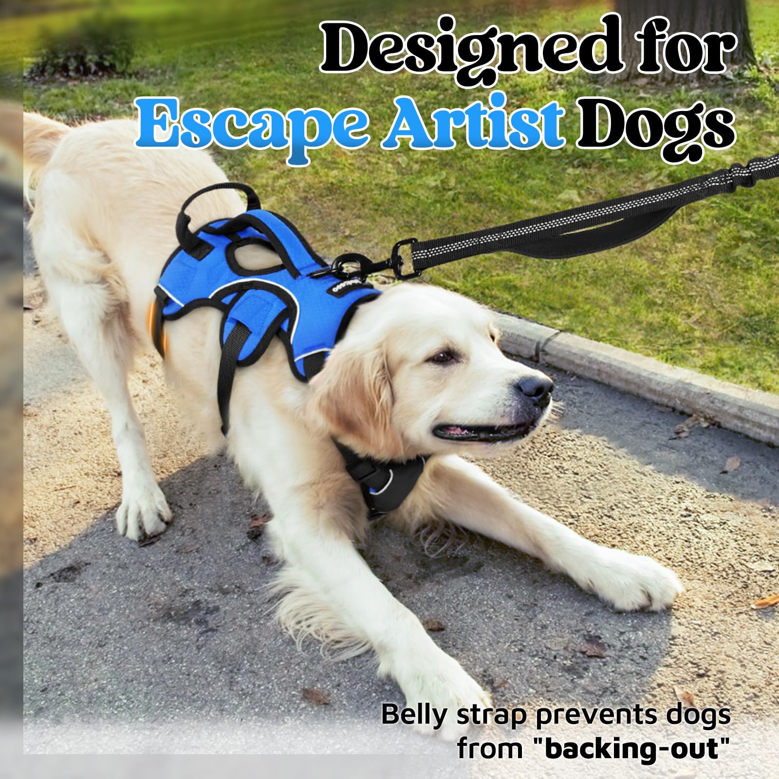 rabbitgoo dog harness padded lift handle shown in close-up.