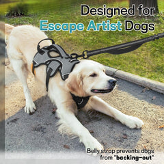 rabbitgoo dog harness padded lift handle shown in close-up.