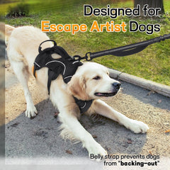 rabbitgoo dog harness padded lift handle shown in close-up.