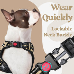 rabbitgoo Dog Harness close-up of the lockable neck buckle.