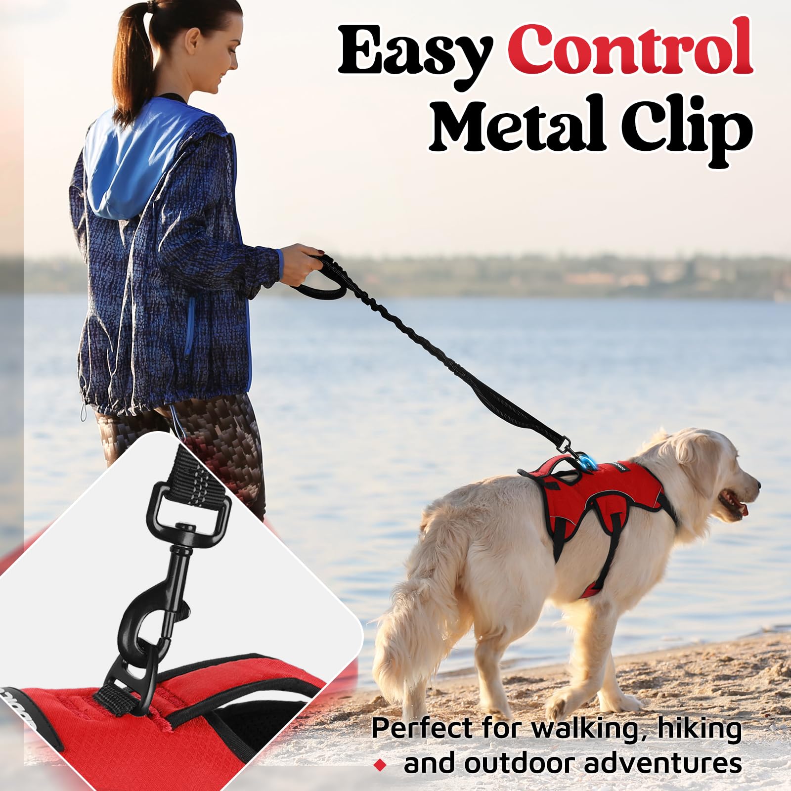 rabbitgoo medium dog harness with its adjustable straps visible.