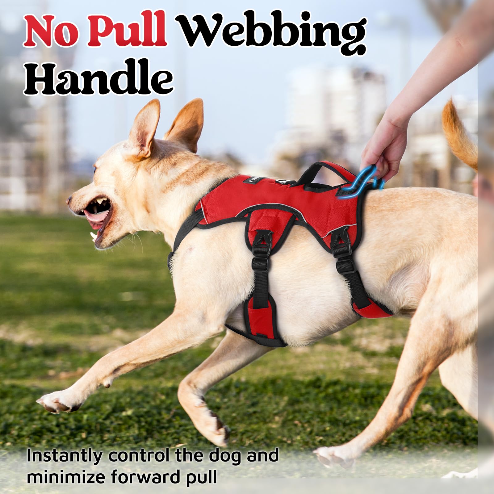 rabbitgoo medium dog harness showing its breathable padded air mesh.