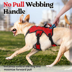rabbitgoo medium dog harness showing its breathable padded air mesh.