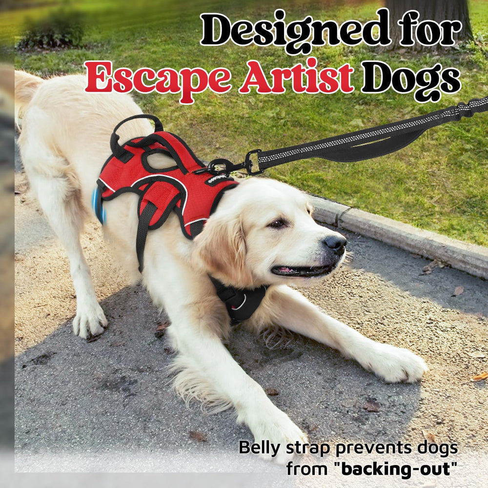 rabbitgoo medium dog harness shown from the back.