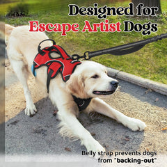 rabbitgoo medium dog harness shown from the back.