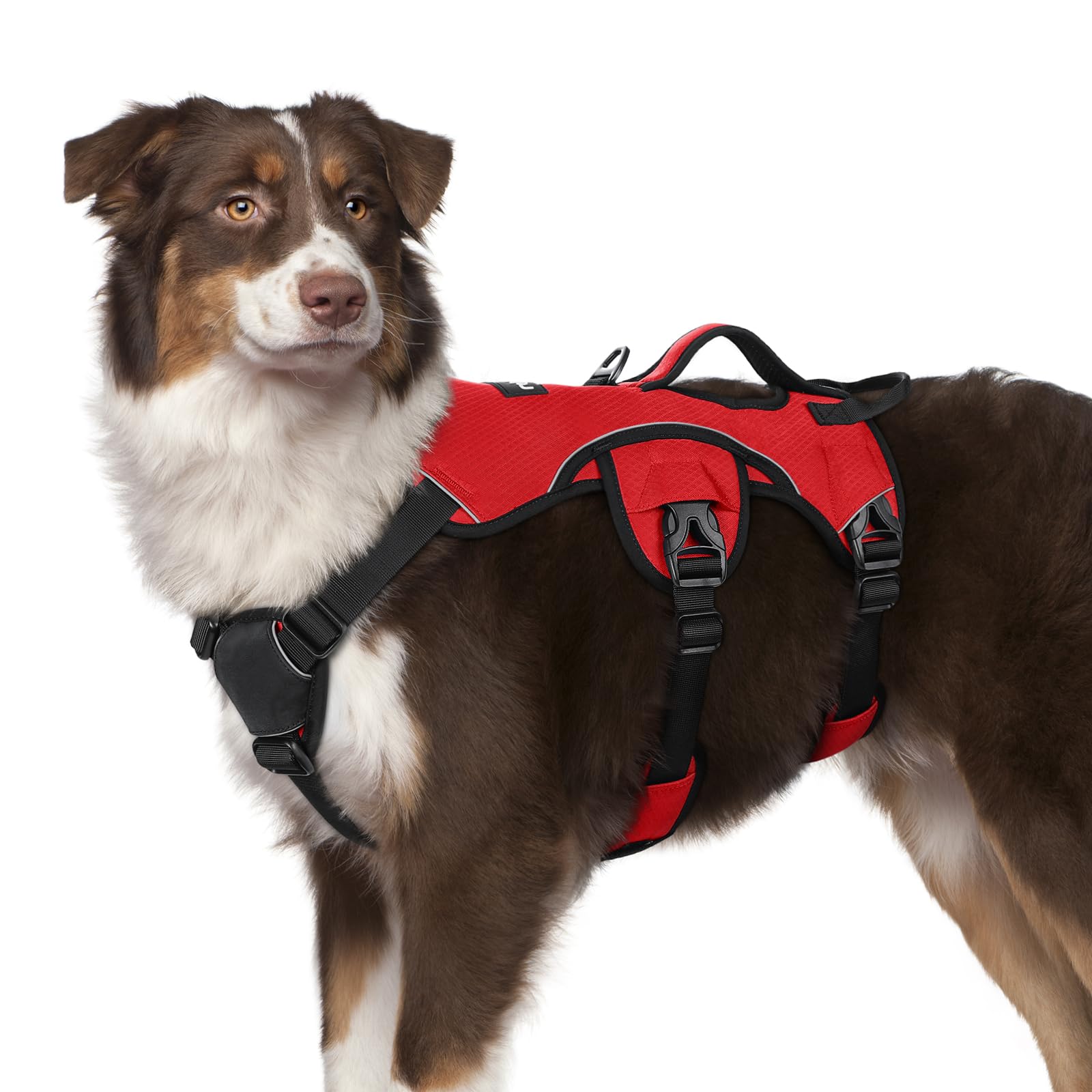 rabbitgoo medium dog harness shown from the front.