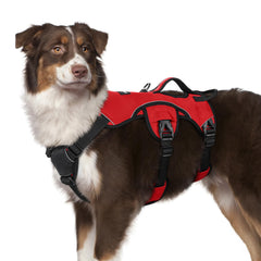 rabbitgoo medium dog harness shown from the front.