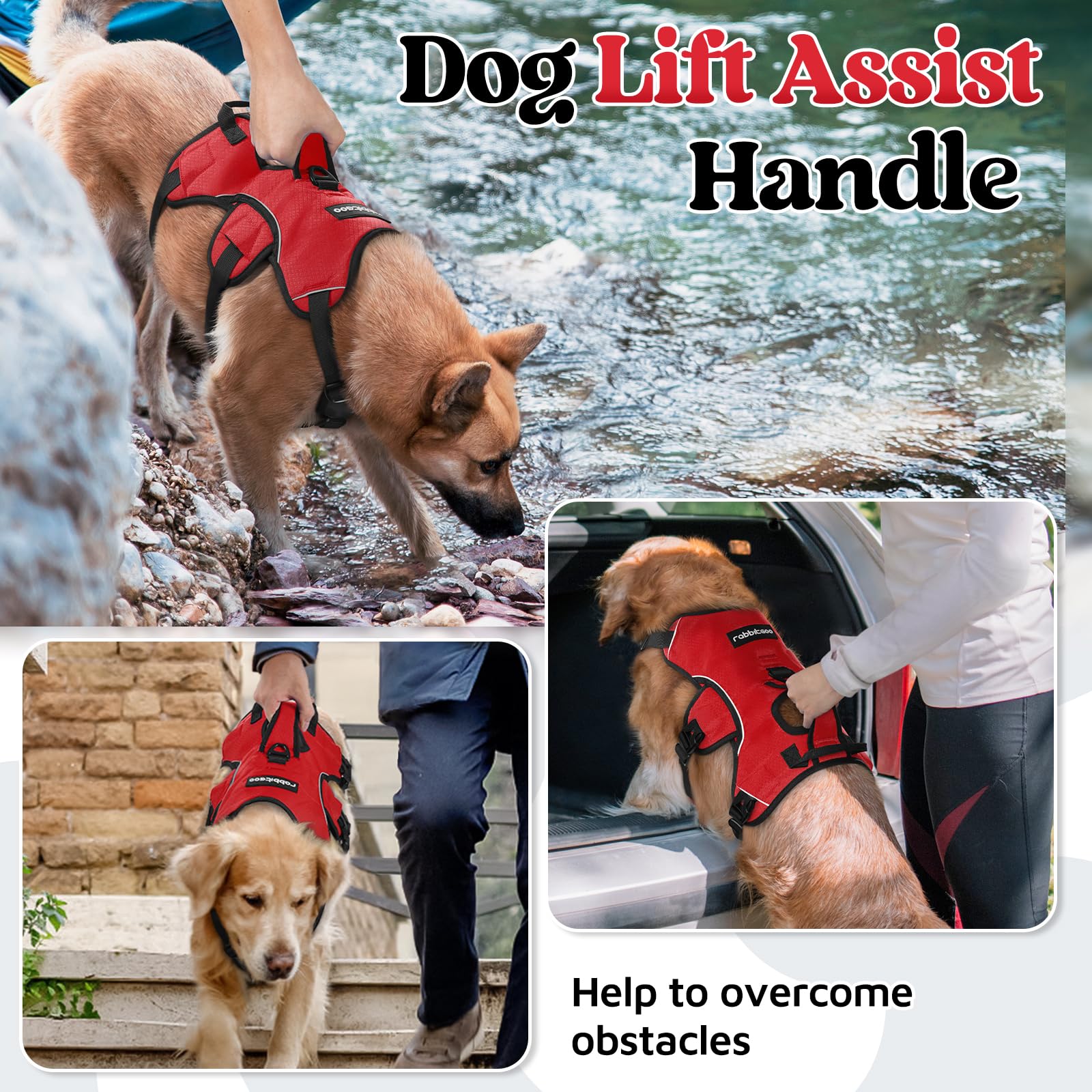 rabbitgoo medium dog harness with its padded carrying handle in view.