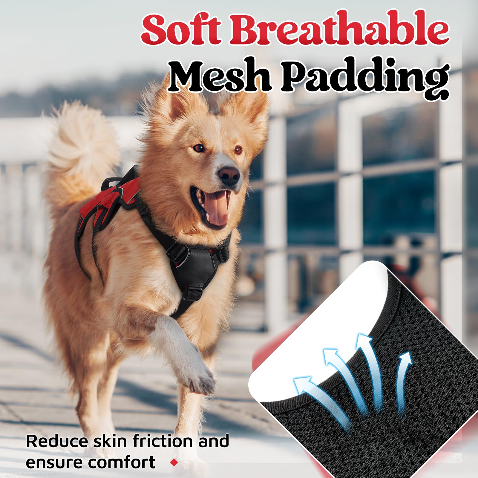 rabbitgoo medium dog harness showing reflective strips for visibility.