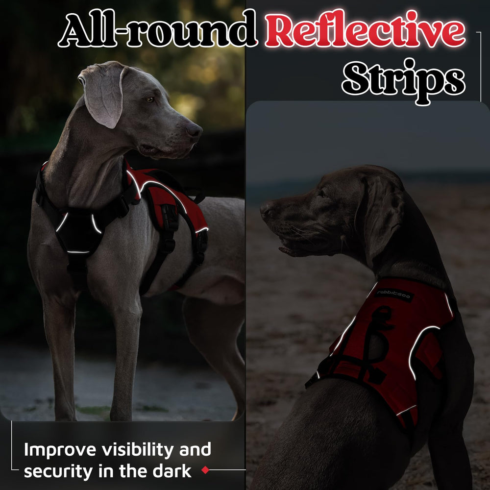 rabbitgoo medium dog harness shown during a walk.