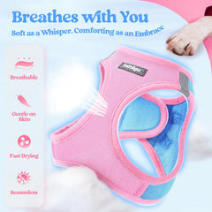 rabbitgoo dog harness close-up highlighting the air mesh and soft edge.
