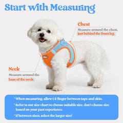 rabbitgoo dog harness close-up showing its quick-dry air mesh