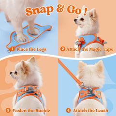 rabbitgoo dog harness close-up showing the breathable mesh fabric.
