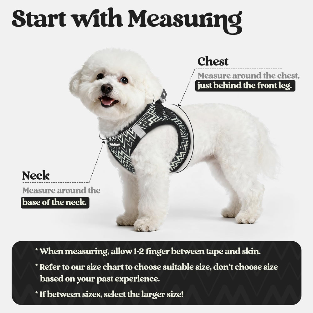 Close-up of the rabbitgoo dog harness air mesh and soft edge.