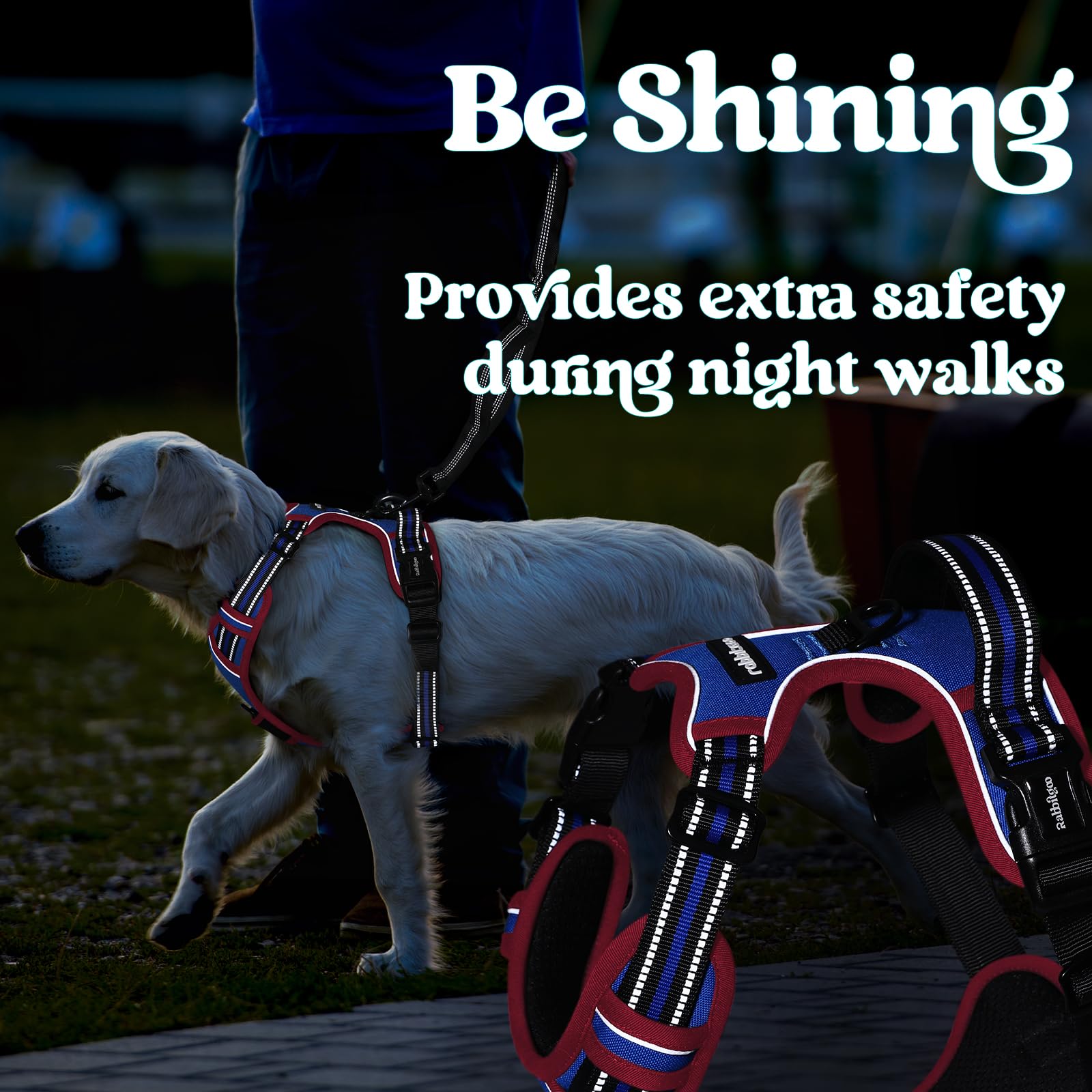 rabbitgoo dog harness showing breathable mesh and padded inner lining.