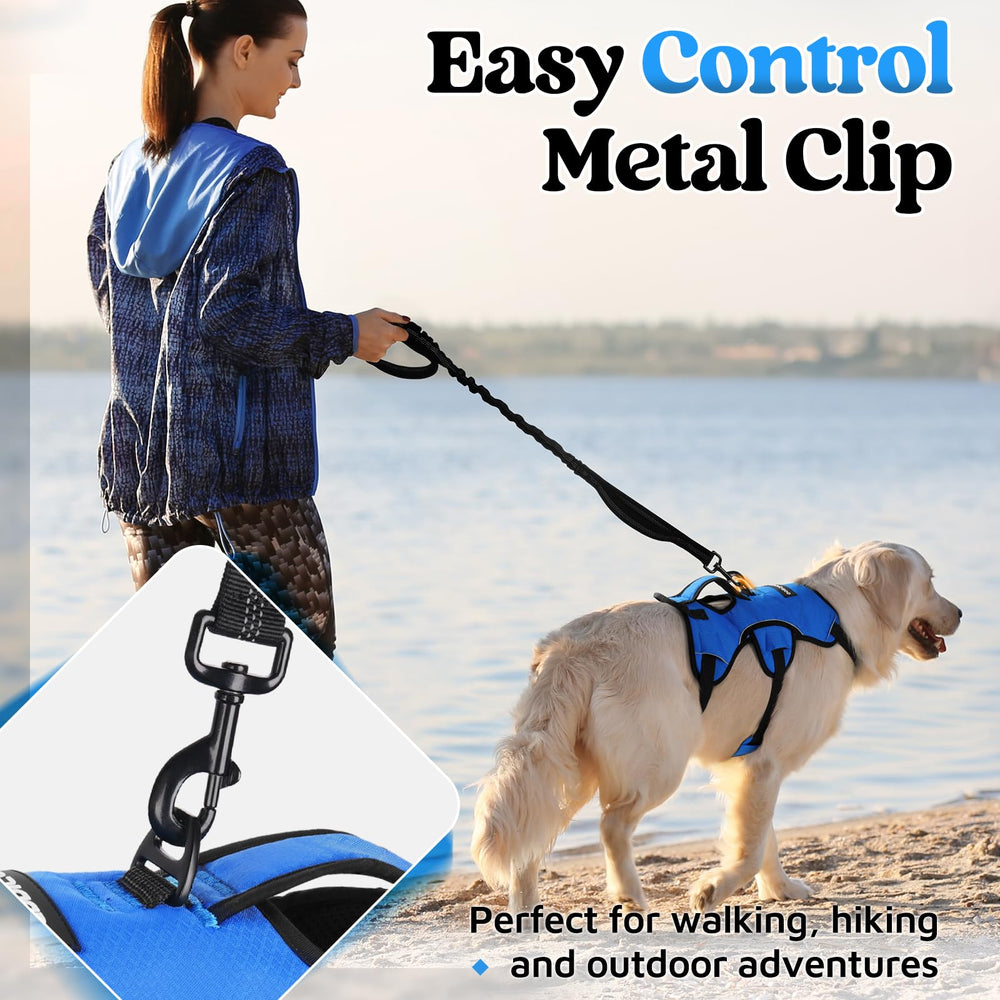 rabbitgoo dog harness breathable padded air mesh and soft cushioning shown close up.