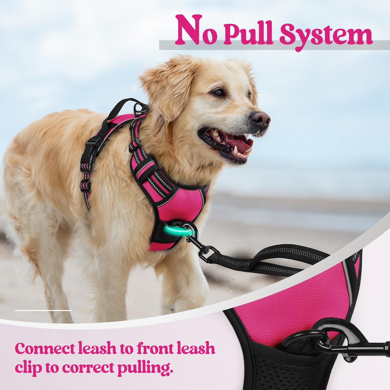 rabbitgoo dog harness breathable mesh and padded vest detail.