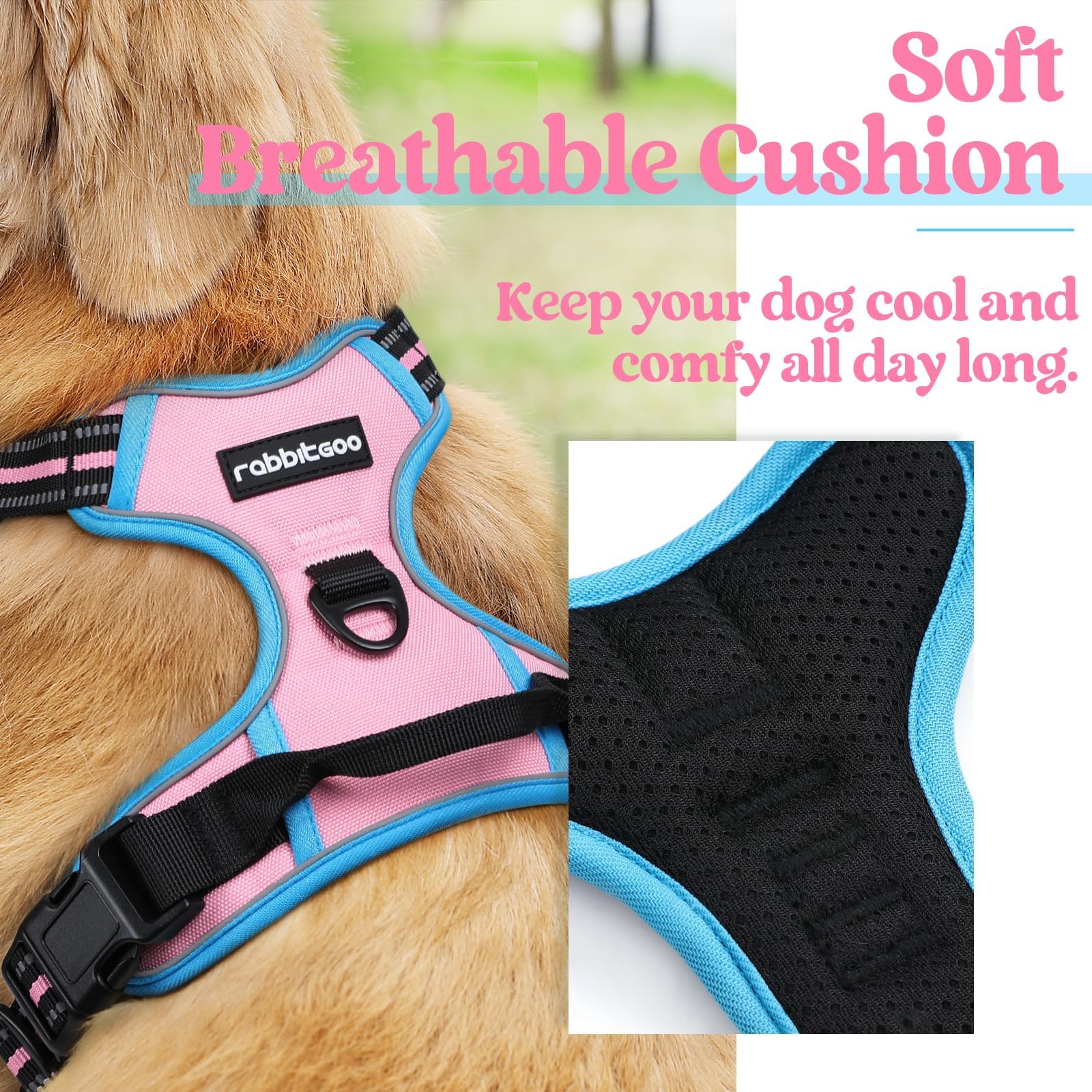 rabbitgoo Dog Harness close-up showing its two metal leash attachment clips.