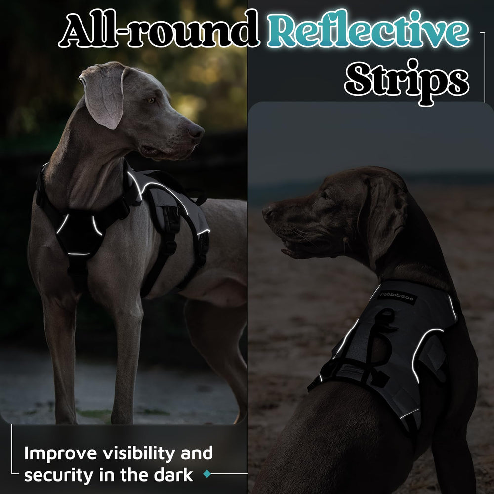 rabbitgoo dog harness being used to assist a dog with mobility.