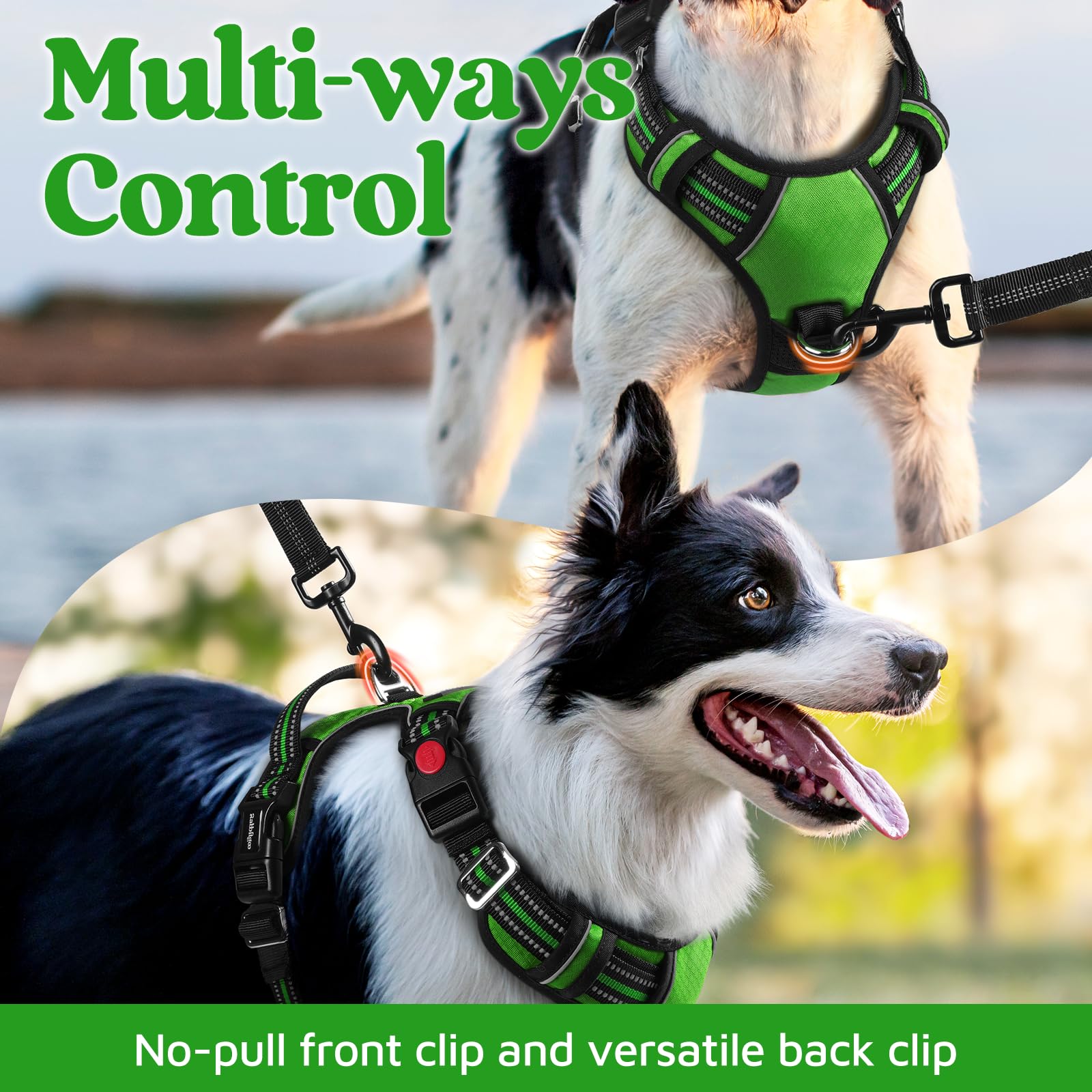 rabbitgoo dog harness neck buckle with its red locking button.