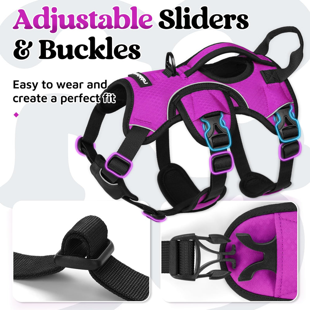 rabbitgoo dog harness used to help a dog move over an obstacle.