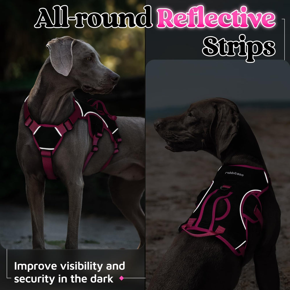 rabbitgoo dog harness shown on a dog during an outdoor walk.