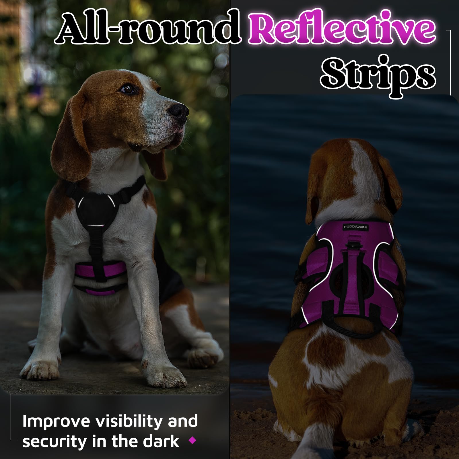 rabbitgoo dog harness worn by a dog on an outdoor walk.
