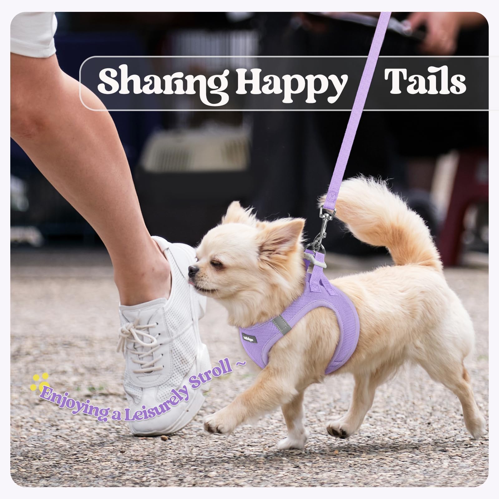 rabbitgoo dog harness leash detail showing the palm-padded handle