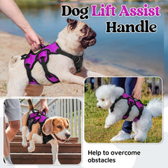 rabbitgoo dog harness close-up showing its padded carrying handle.
