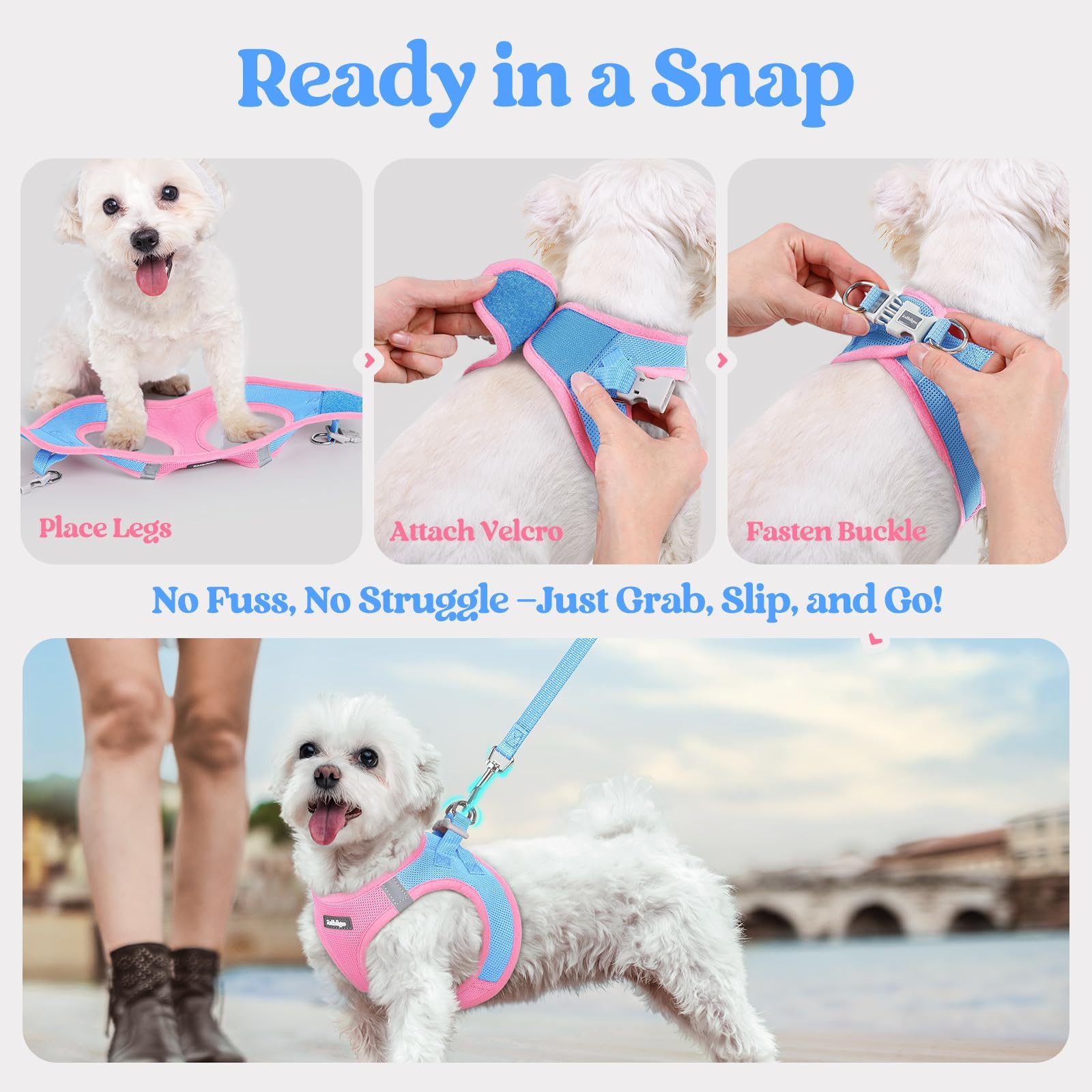 rabbitgoo dog harness leash detail showing the palm-padded handle.