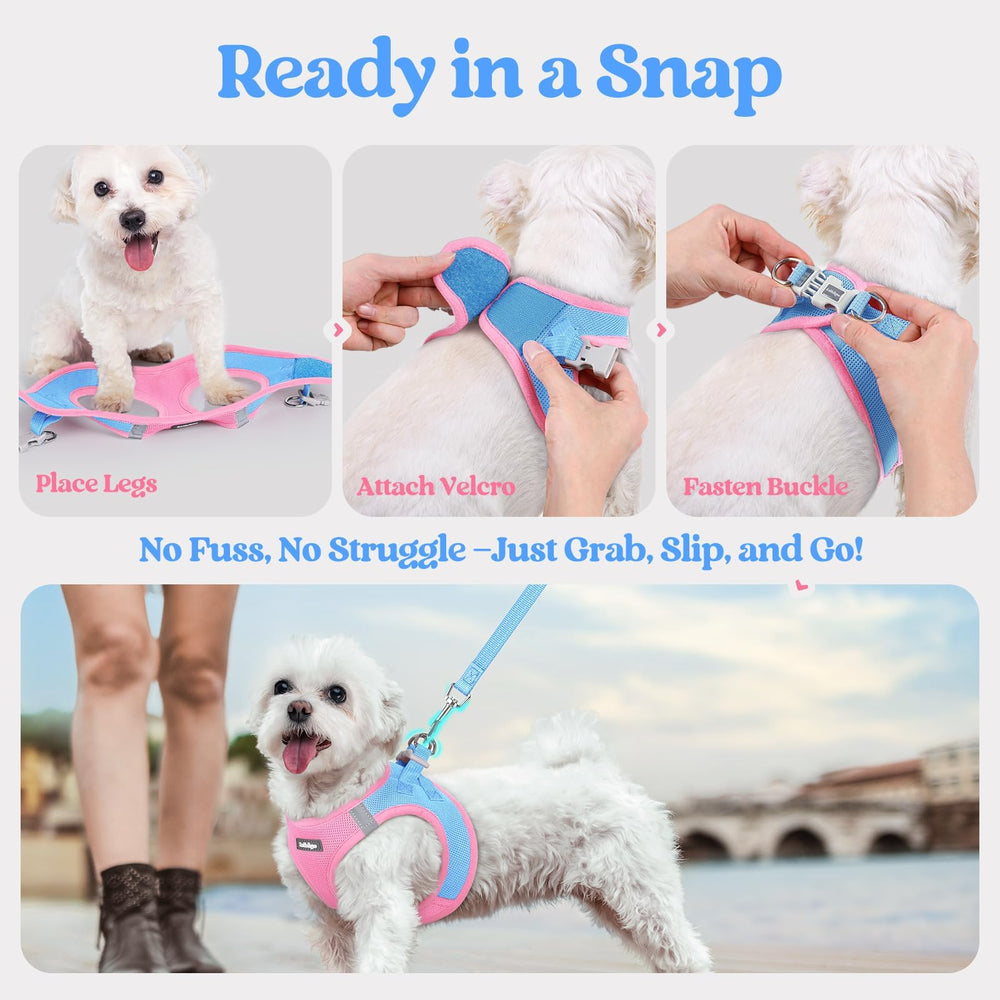 rabbitgoo dog harness leash detail showing the palm-padded handle.