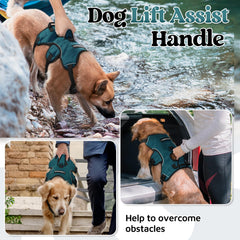rabbitgoo dog harness close-up showing its padded lift handle.