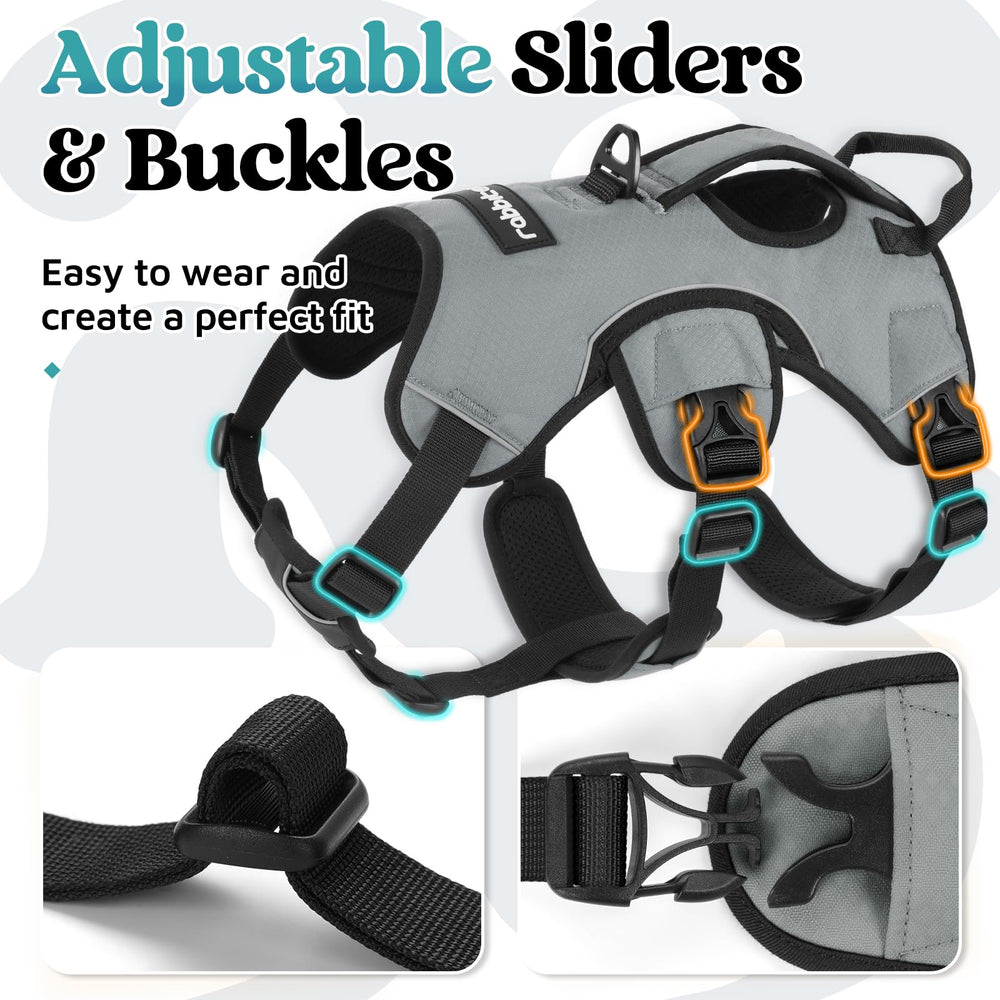 rabbitgoo dog harness quick-release buckles shown in detail.