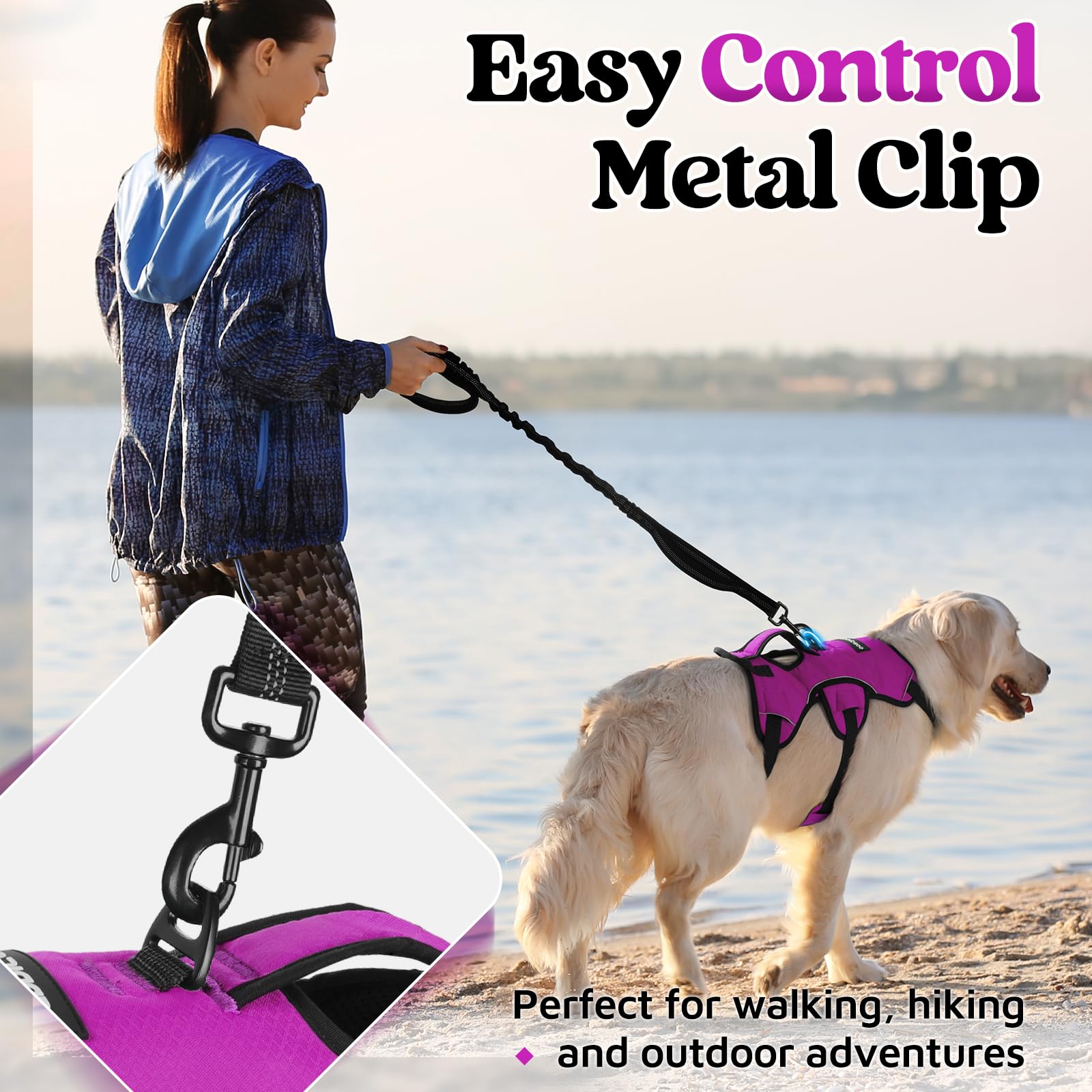 rabbitgoo dog harness with a close view of its quick-release buckles.