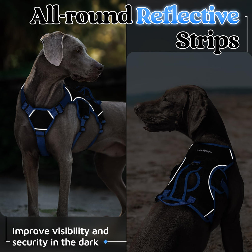 rabbitgoo dog harness featuring its quick-release buckles.