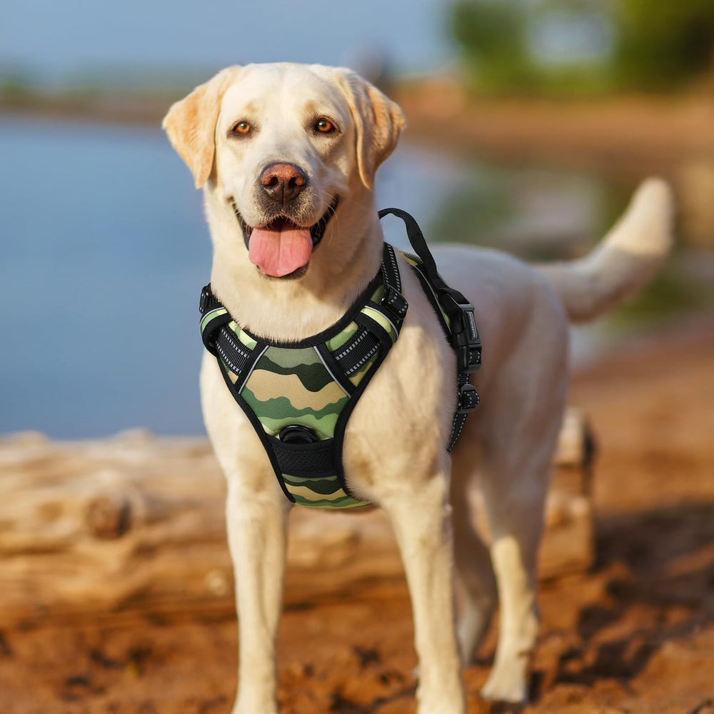 rabbitgoo Dog Harness detail showing its quick-release buckles.