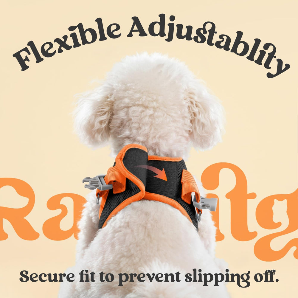 rabbitgoo dog harness showing its rear D-rings and reflective strips.