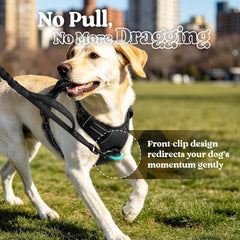 Rear view of the rabbitgoo dog harness vest.