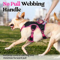 rabbitgoo dog harness close-up of the reflective strips.