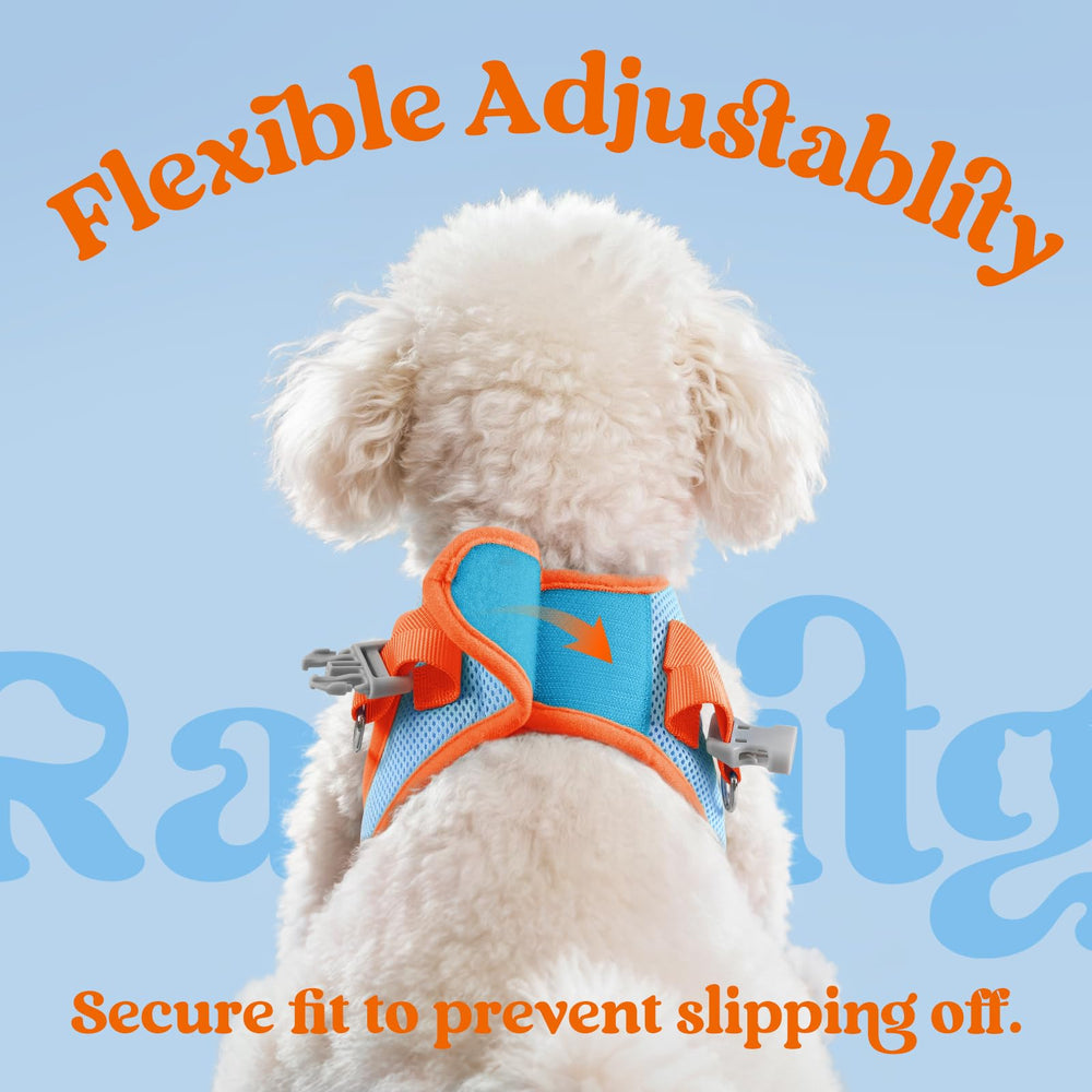 rabbitgoo dog harness detail showing the reflective strips.