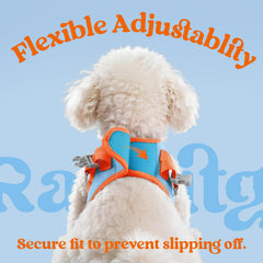 rabbitgoo dog harness detail showing the reflective strips.