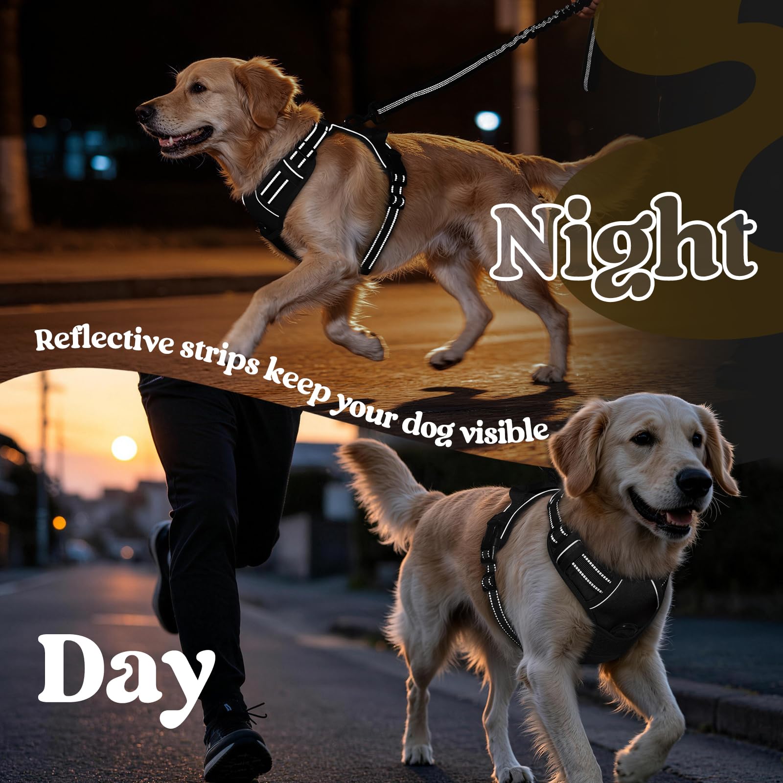 Reflective strips on the rabbitgoo dog harness.