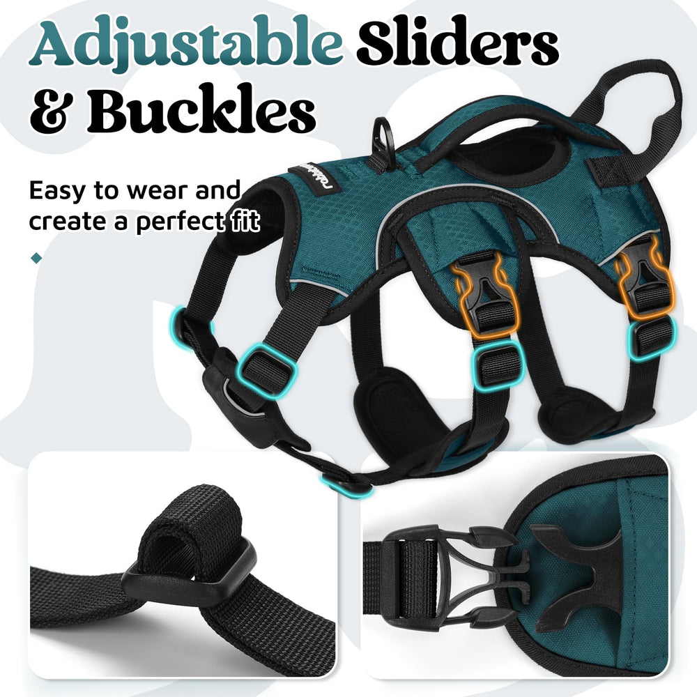 rabbitgoo dog harness reflective strips shown on the harness webbing.