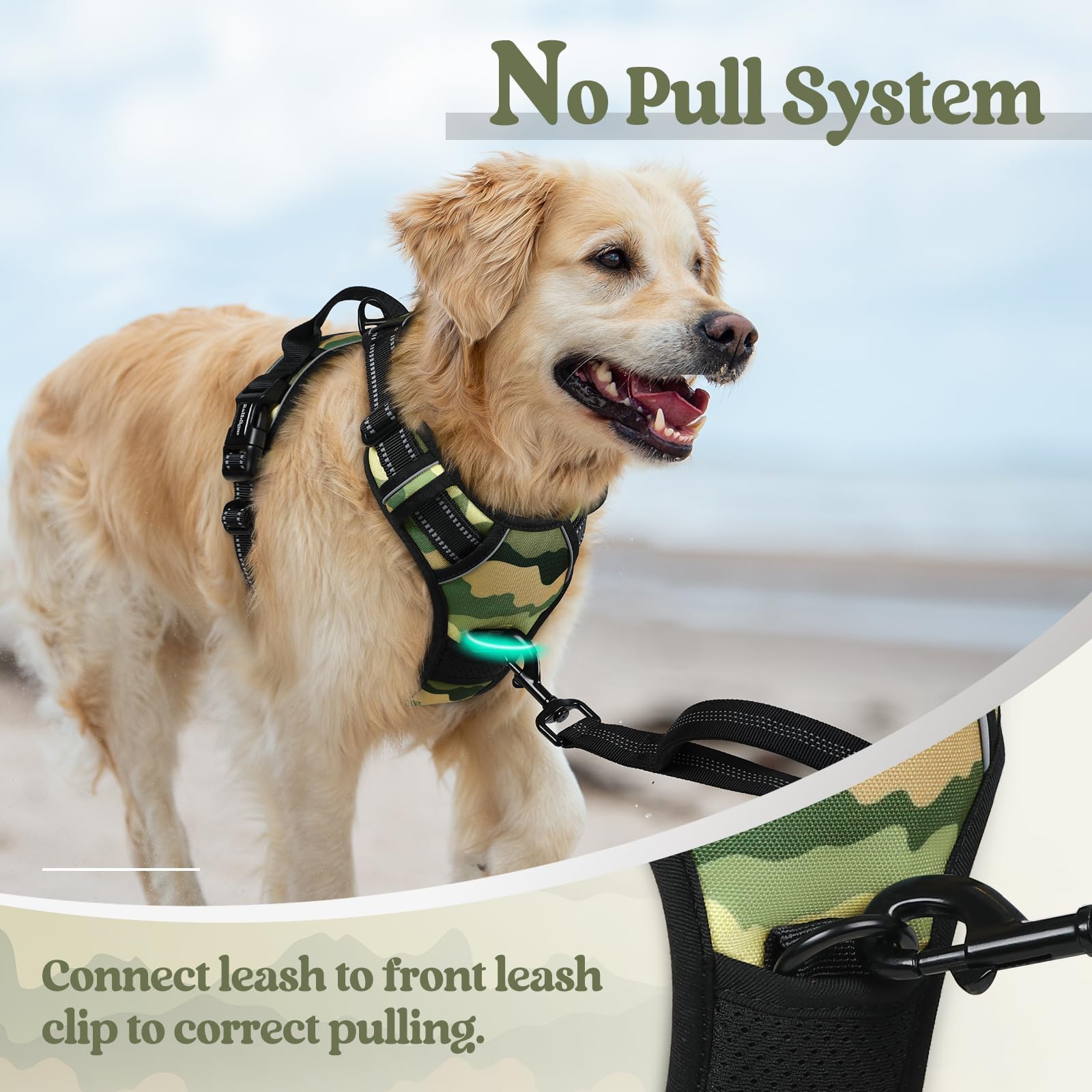 rabbitgoo Dog Harness detail showing its reflective strips.
