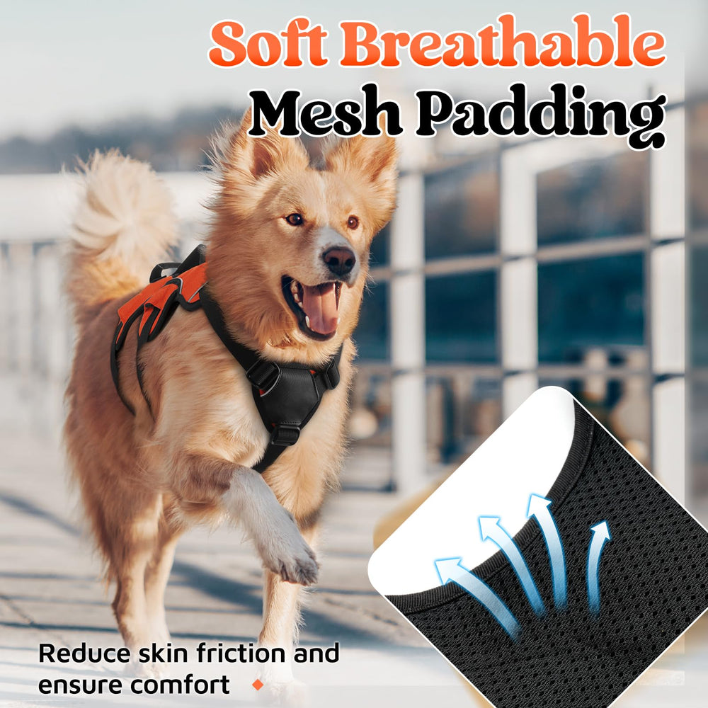 rabbitgoo dog harness detail showing reflective strips for low-light visibility.