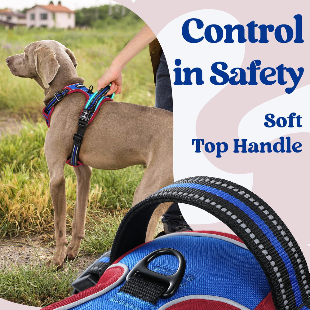 rabbitgoo dog harness showing reflective strips for nighttime visibility.