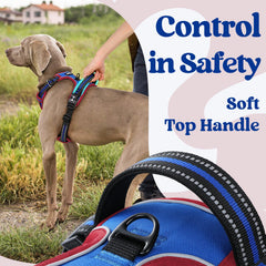 rabbitgoo dog harness showing reflective strips for nighttime visibility.