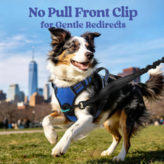 rabbitgoo dog harness reflective strips shown on the harness fabric.